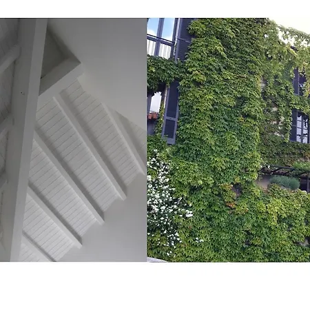 بيسكالو بيلاجيو