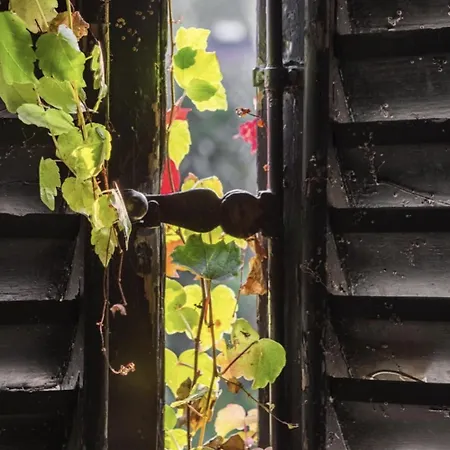 بيسكالو شقة بيلاجيو