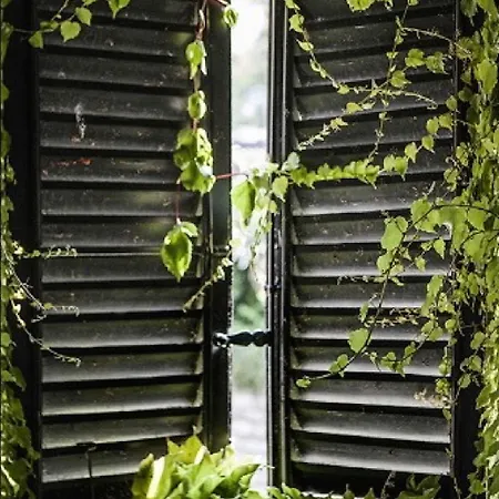 بيسكالو شقة