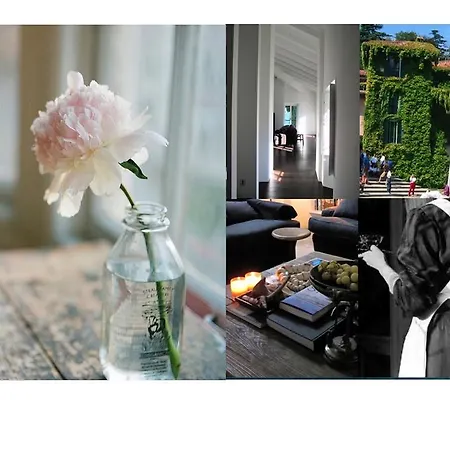 شقة بيسكالو