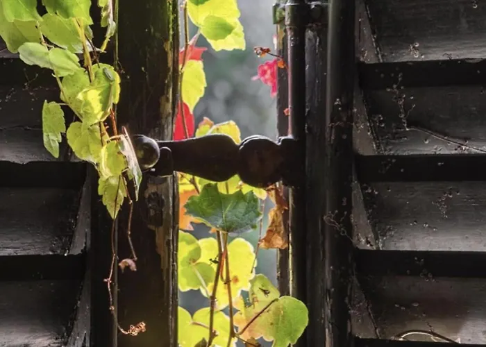 Pescallo Apartmán Bellagio