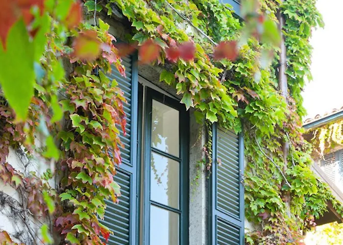 Pescallo Apartman