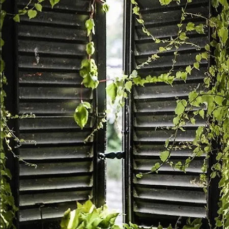 Pescallo Appartement